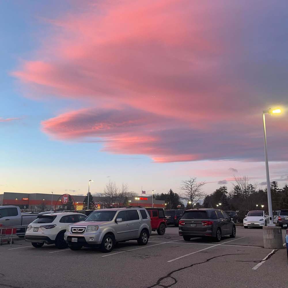 Meet your Posher, Estelle